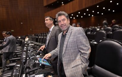 Reforma a la Ley de Inversión Extranjera fue aprobada por la Cámara de Diputados