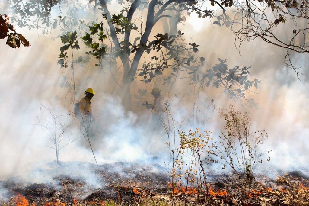 Incendios forestales se intensifican en abril y mayo: CONAFOR