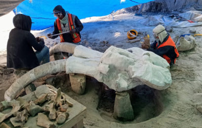 INAH comenzará estudio multidisciplinario de yacimientos de mamuts en Santa Lucía y Tultepec II, Estado de México