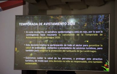 Temporada de avistamiento de Luciérnagas 2020 no se realizará