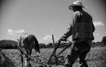 Sequía afecta cultivos en Tlaxcala