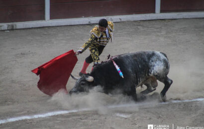 Tauromaquia, una manera elegante de darle muerte a un toro