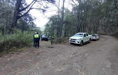 Autoridades combaten incendio forestal en Tlaxco