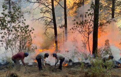 Incendio forestal y en Chiautempan afectó 84 hectáreas