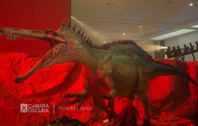 Llega a Tlaxcala el museo itinerante “Tierra de Dinosaurios”