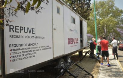 Avanza instalación del chip REPUVET en Tlaxcala
