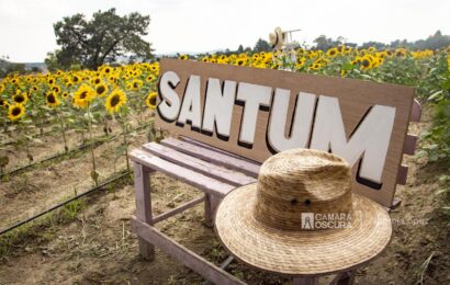 «Santum» el santuario de girasoles en Atexcatzingo, Tlaxcala