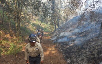 Controlaron Autoridades incendios forestales en cuatro municipios