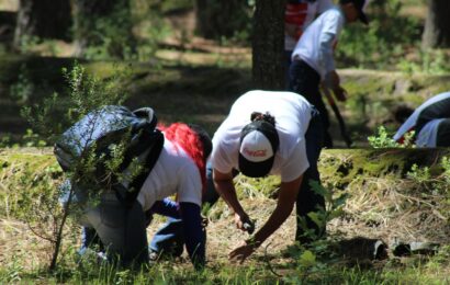 Gobierno y el Estado e Iniciativa Privada Realizan Trabajos de Reforestación en La Malinche