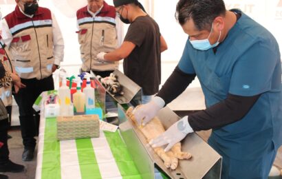 Iniciará Tlaxcala jornada nacional de esterilización canina y felina