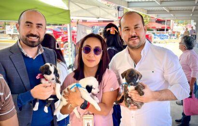 Realiza Segunda Jornada de Adopción Canina en Tlaxcala