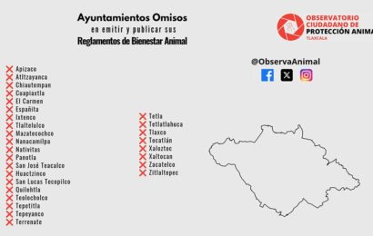 El OCPA se reúne con el Diputado Zainos Flores para abordar omisión de ayuntamientos en Ley de Bienestar Animal en Tlaxcala